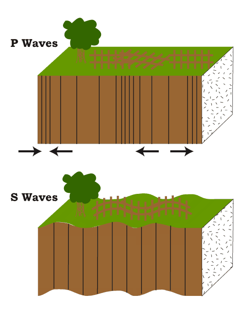 P Waves and S Waves in the Crust_050224A