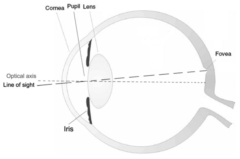 The Optical System of the Human Eye_122522A