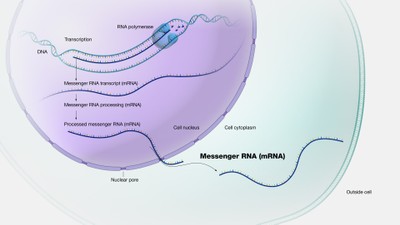 mRNA_121622A