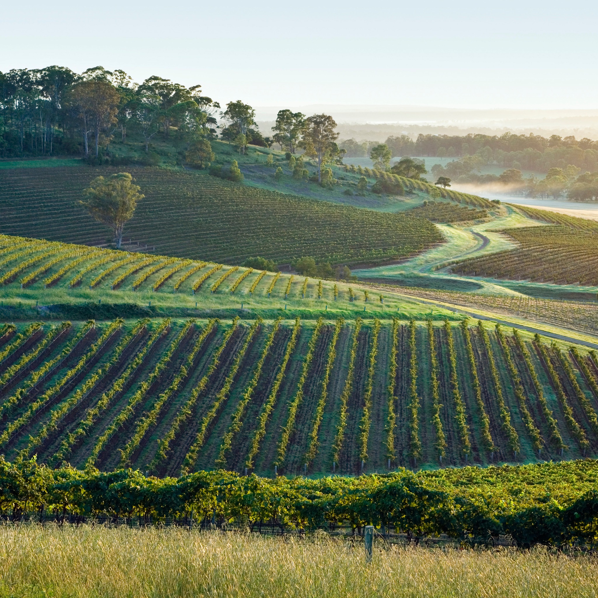 Agricultural Land_072723A