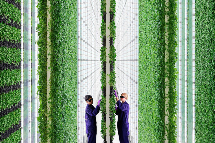 AI-controlled Vertical Farms_050122A