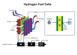 Hydrogen Fuel Cells_020121A