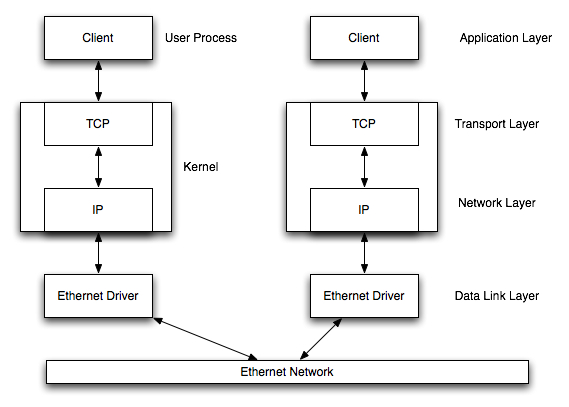 The_Client_Server_Model_070520A