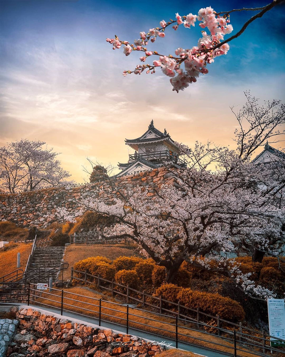 Hamamatsu Castle_Japan_062122A