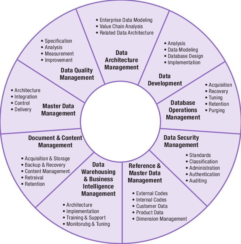 The Scope of Data Governance_110722A