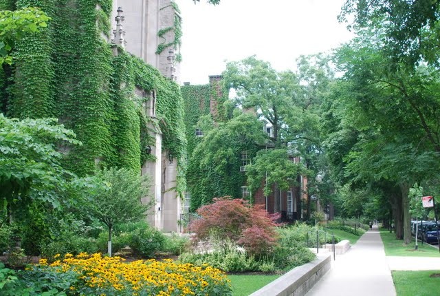 UChicago_DSC_0304