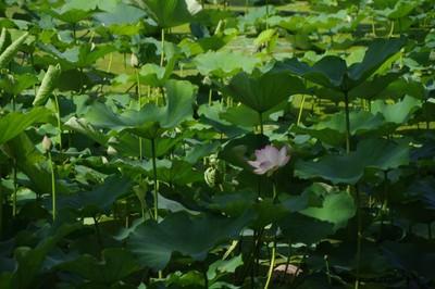 National_Chiao_Tung_University_07072017B