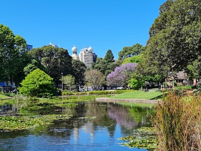 The University of Sydney_061624G