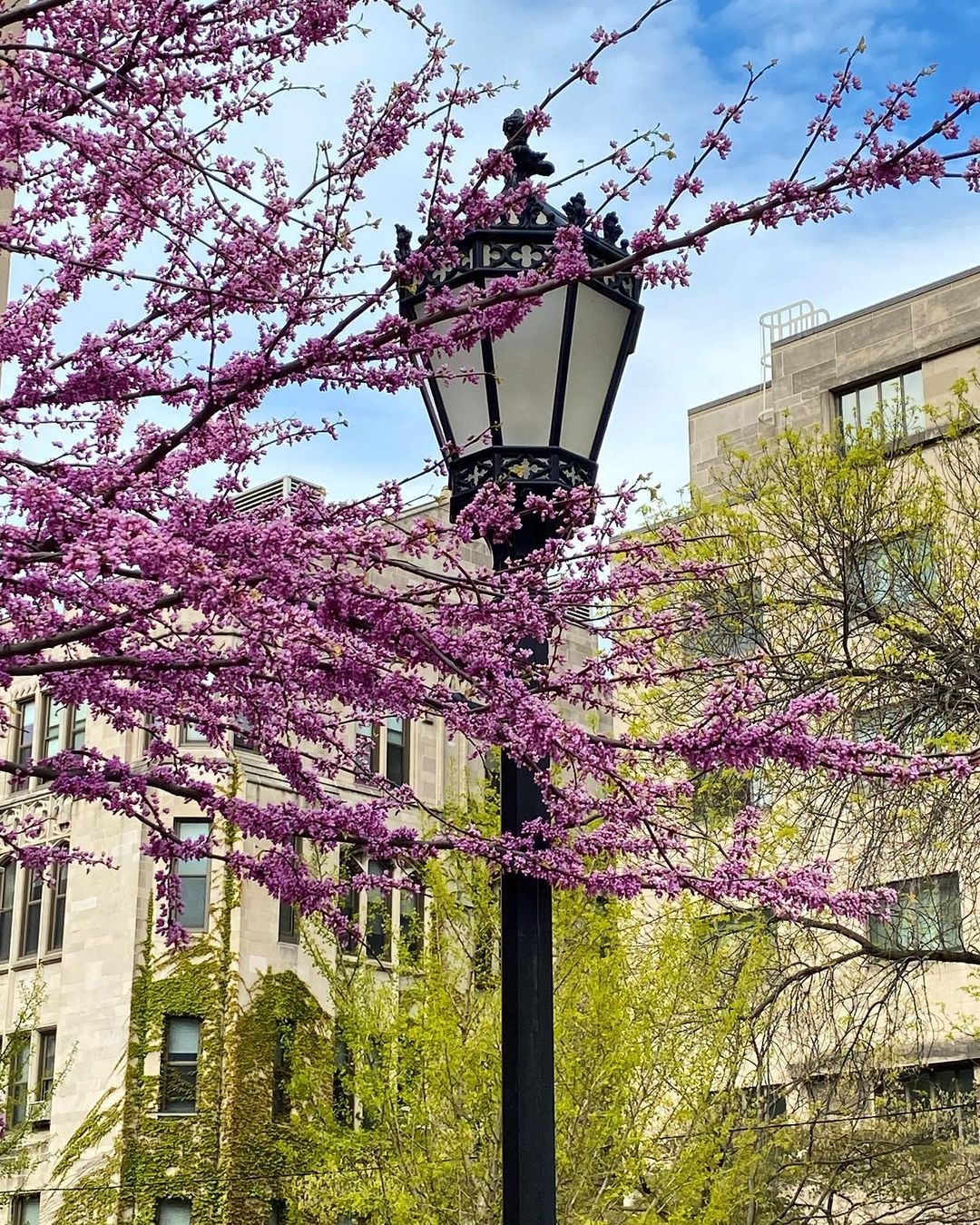 The University of Chicago_052921A