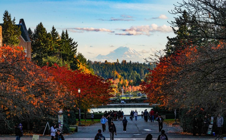 University of Washington_021124C