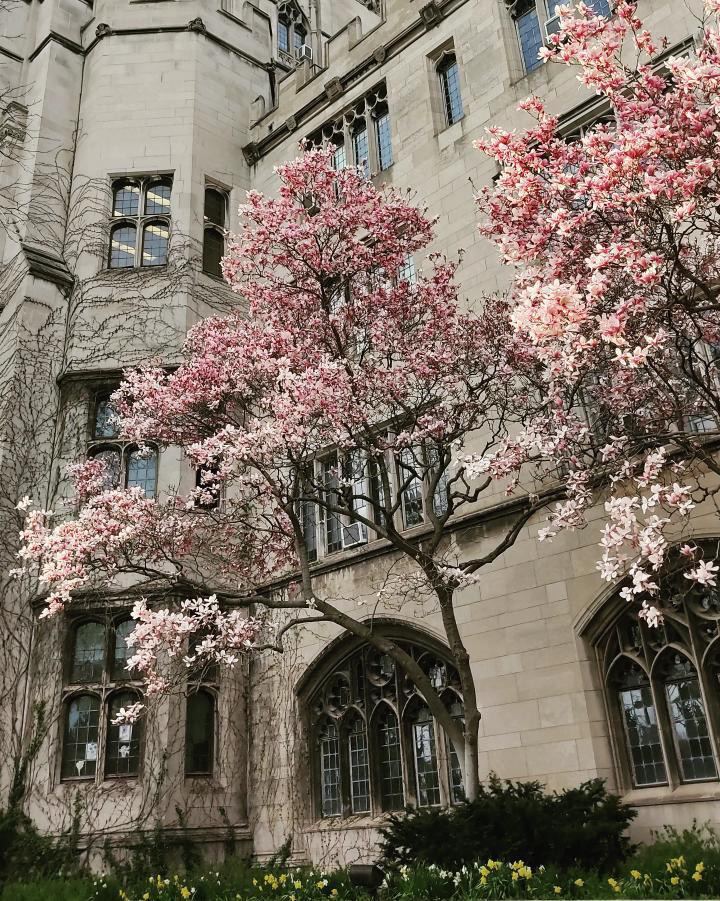 University of Chicago_050222C